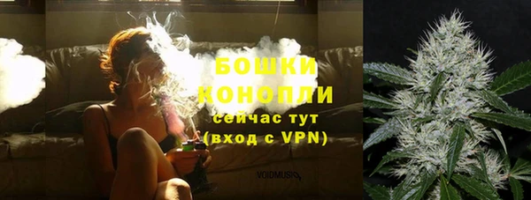 a pvp Аркадак