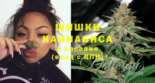 a pvp Аркадак