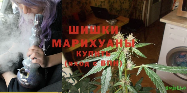 a pvp Аркадак