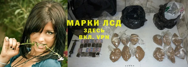 спайс Арсеньев