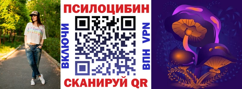 Псилоцибиновые грибы мицелий  hydra как войти  Карачаевск 