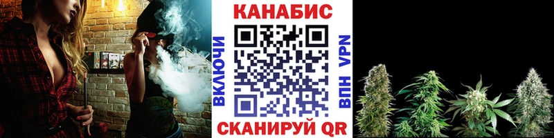 Шишки марихуана Amnesia  Карачаевск 